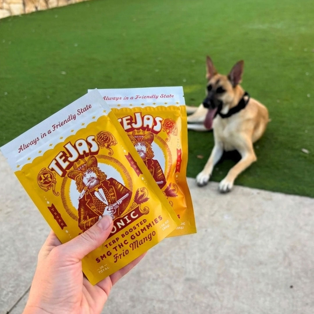 Gummy - 10ct Pouches Case - Frio Mango